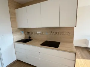 Pronájem bytu 1+kk, Ostrava - Slezská Ostrava, U Hájenky, 40 m2