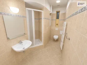 Pronájem bytu 2+1, Praha - Vinohrady, Vinohradská, 59 m2