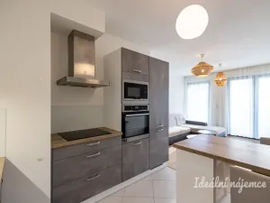 Pronájem bytu 2+kk, Praha - Žižkov, Olšanská, 50 m2