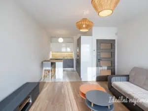 Pronájem bytu 2+kk, Praha - Žižkov, Olšanská, 50 m2