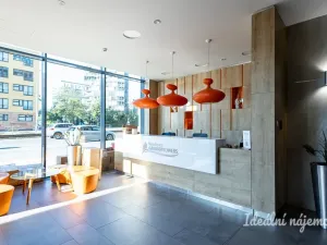 Pronájem bytu 2+kk, Praha - Žižkov, Olšanská, 50 m2
