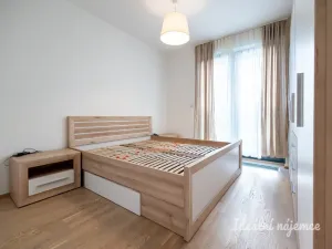 Pronájem bytu 2+kk, Praha - Žižkov, Olšanská, 50 m2