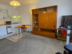Pronájem bytu 1+kk, Písek, Harantova, 28 m2