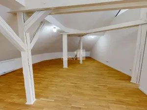 Pronájem komerční nemovitosti, Pelhřimov, Tylova, 151 m2