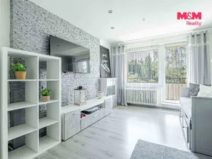 Prodej bytu 2+1, Karviná - Mizerov, tř. 17. listopadu, 57 m2