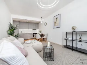 Prodej bytu 2+kk, Praha - Nusle, V Horkách, 47 m2