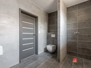 Prodej rodinného domu, Miroslav - Kašenec, 699 m2