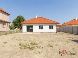 Prodej rodinného domu, Miroslav - Kašenec, 699 m2