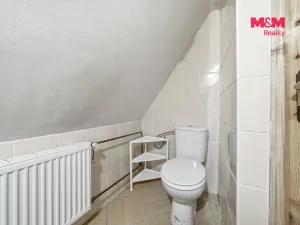 Prodej chalupy, Červená Voda - Horní Orlice, 207 m2