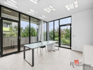Prodej obchodního prostoru, Plzeň - Černice, Vltavínová, 86 m2