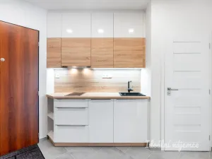 Pronájem bytu 1+kk, Praha - Podolí, Na dolinách, 39 m2