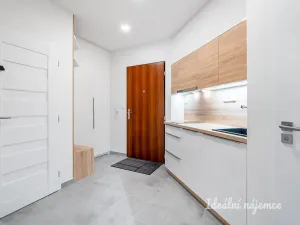 Pronájem bytu 1+kk, Praha - Podolí, Na dolinách, 39 m2