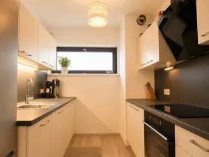 Pronájem bytu 2+kk, Plzeň, Sladová, 53 m2