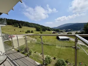 Prodej apartmánu, Dolní Morava, 28 m2