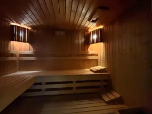 Prodej apartmánu, Dolní Morava, 28 m2