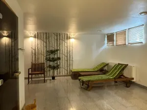 Prodej apartmánu, Dolní Morava, 28 m2