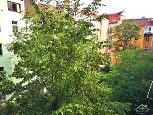 Pronájem bytu 2+1, Praha - Vinohrady, Na Kozačce, 73 m2