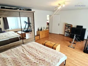 Prodej obchodního prostoru, Kralupy nad Vltavou - Mikovice, V Uličce, 235 m2