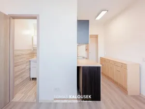 Pronájem bytu 1+1, Ivančice, Luční, 35 m2