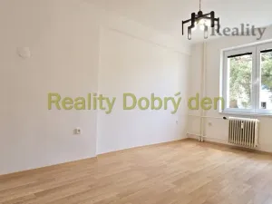Prodej bytu 1+kk, Dolní Benešov, Osada míru, 21 m2