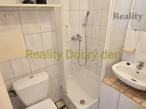 Prodej bytu 1+kk, Dolní Benešov, Osada míru, 21 m2