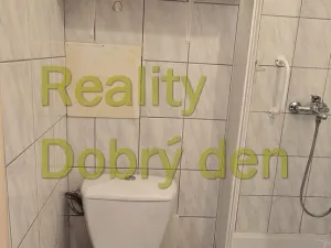 Prodej bytu 1+kk, Dolní Benešov, Osada míru, 21 m2