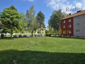 Prodej bytu 1+kk, Dolní Benešov, Osada míru, 21 m2