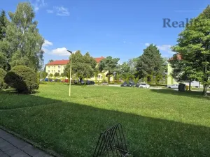 Prodej bytu 1+kk, Dolní Benešov, Osada míru, 21 m2