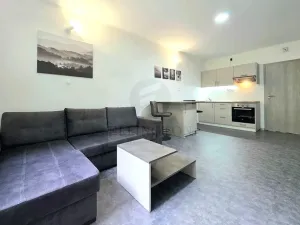 Pronájem bytu 1+kk, Ostrov - Horní Žďár, 29 m2