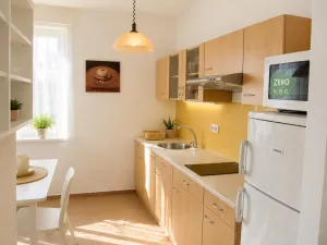 Prodej bytu 2+kk, Praha - Holešovice, U městských domů, 49 m2