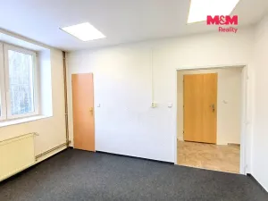 Pronájem obchodního prostoru, Ostrava - Mariánské Hory, 28. října, 40 m2