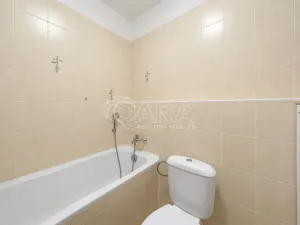 Prodej bytu 1+kk, Beroun - Beroun-Město, U Židovského hřbitova, 39 m2