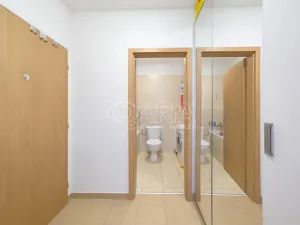 Prodej bytu 1+kk, Beroun - Beroun-Město, U Židovského hřbitova, 39 m2