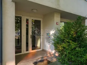 Prodej bytu 1+kk, Beroun - Beroun-Město, U Židovského hřbitova, 39 m2