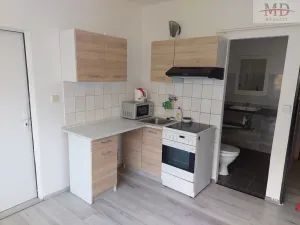 Pronájem bytu 1+1, Ústí nad Labem, 36 m2