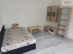 Pronájem bytu 1+1, Ústí nad Labem, 36 m2