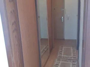 Pronájem bytu 1+1, Ostrava, Dr. Martínka, 37 m2