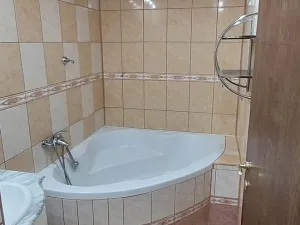 Pronájem bytu 1+1, Ostrava, Dr. Martínka, 37 m2