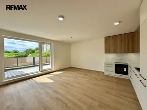 Pronájem bytu 1+kk, Třebíč - Nové Město, Modřínová, 38 m2