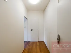 Pronájem bytu 1+kk, Praha - Vinohrady, Lucemburská, 30 m2