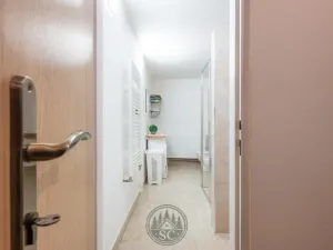 Prodej zemědělské usedlosti, Luby - Opatov, 300 m2