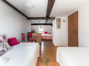 Prodej zemědělské usedlosti, Luby - Opatov, 300 m2