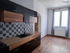 Pronájem bytu 3+1, Košťany, Hornická, 90 m2