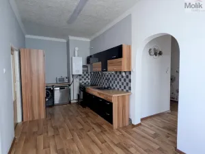 Pronájem bytu 3+1, Košťany, Hornická, 90 m2
