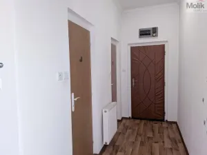 Pronájem bytu 3+1, Košťany, Hornická, 90 m2