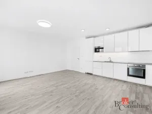 Pronájem bytu 1+kk, Plzeň - Jižní Předměstí, Železná, 37 m2