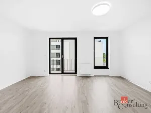 Pronájem bytu 1+kk, Plzeň - Jižní Předměstí, Železná, 37 m2
