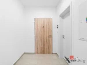 Pronájem bytu 1+kk, Plzeň - Jižní Předměstí, Železná, 37 m2