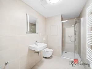 Pronájem bytu 1+kk, Plzeň - Jižní Předměstí, Železná, 37 m2