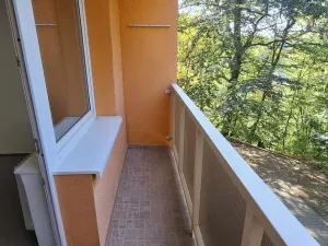 Prodej bytu 3+1, Adamov, Petra Jilemnického, 69 m2